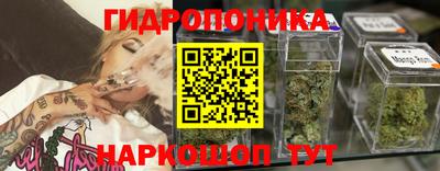 молекула духа Боровичи