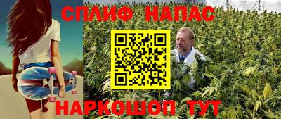 молекула духа Боровичи