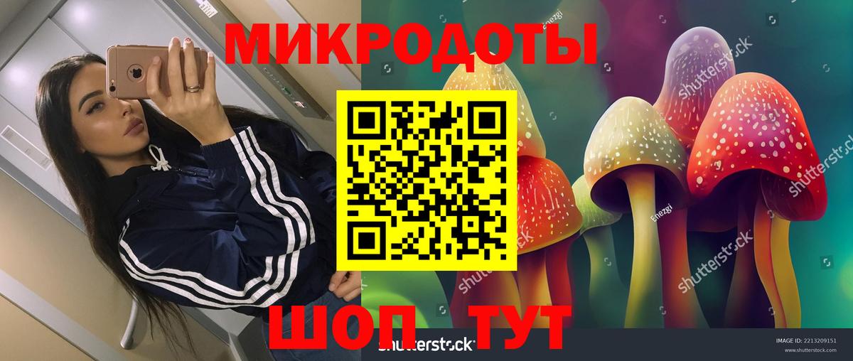 Кингисепп  Псилоцибиновые грибы Cubensis  Вход с VPN  Галлюциногенные грибы мухоморы 